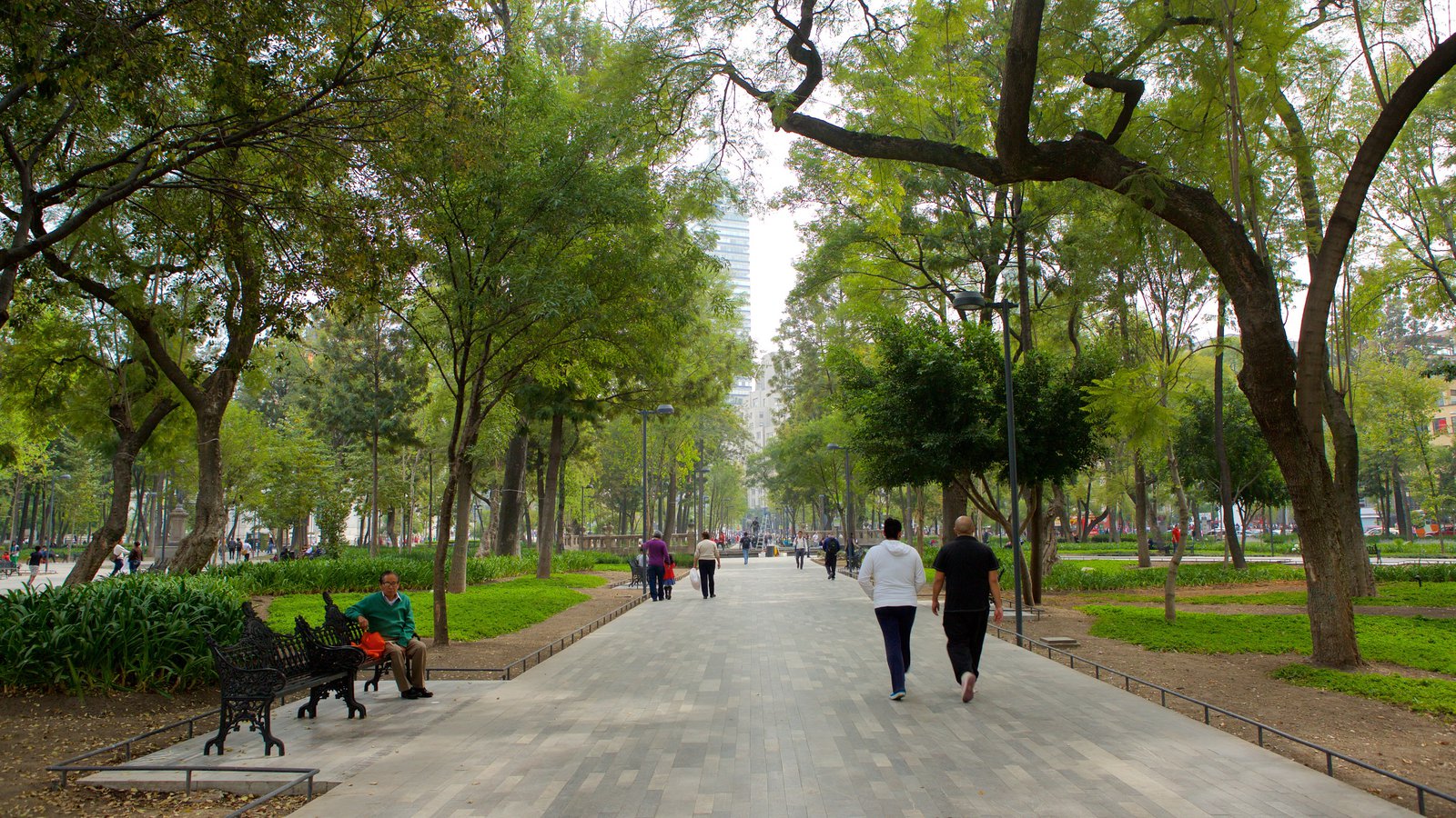 Imagen de Alameda Central